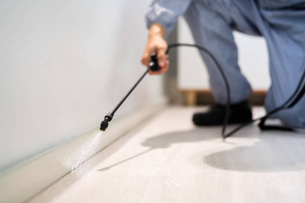 Licensed Cockroach Control service in Elizabethtown, NC - Nex Pest Control